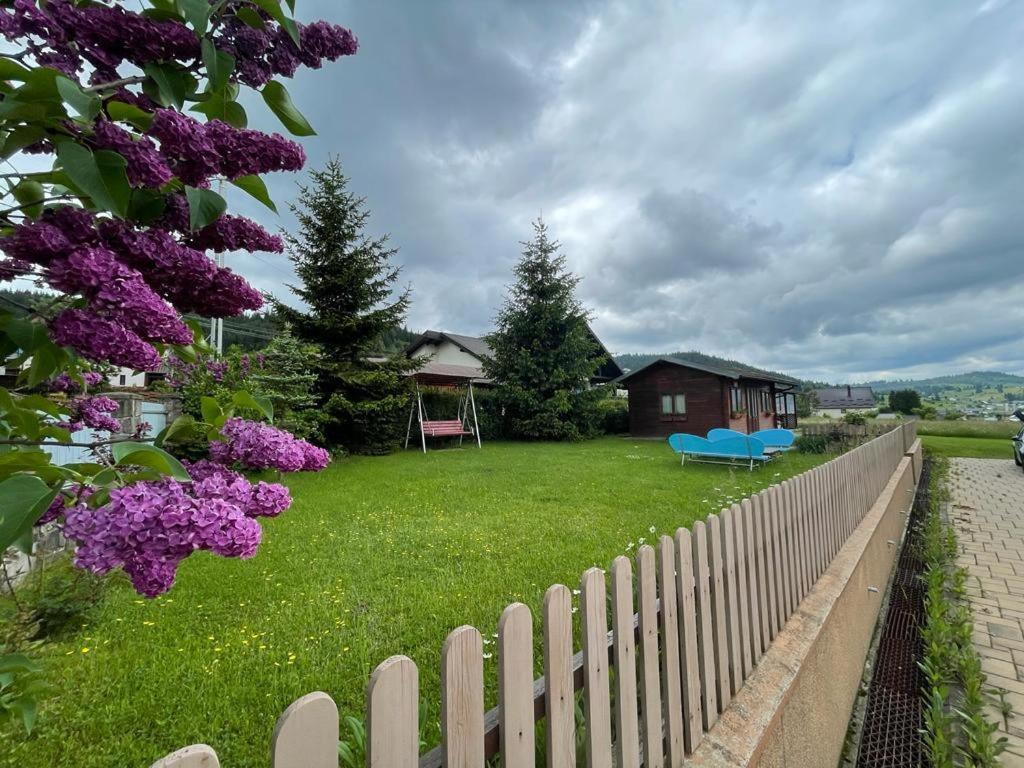 Pensiunea Gentiana Vatra Dornei Bagian luar foto