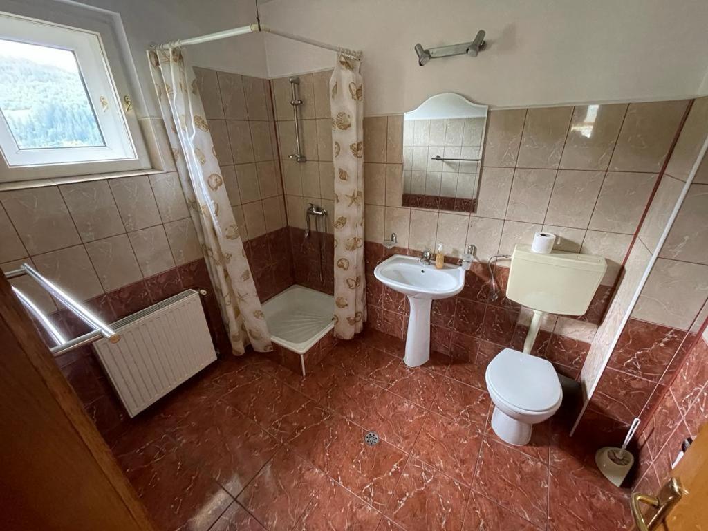 Pensiunea Gentiana Vatra Dornei Bagian luar foto
