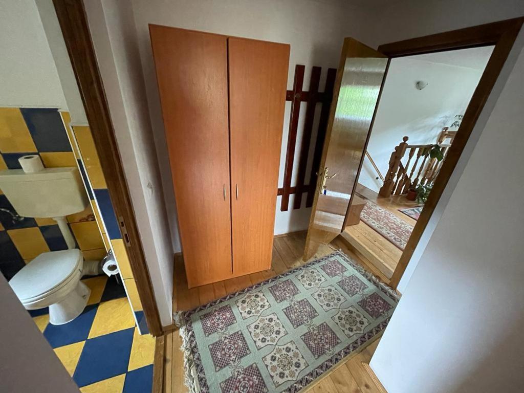 Pensiunea Gentiana Vatra Dornei Bagian luar foto