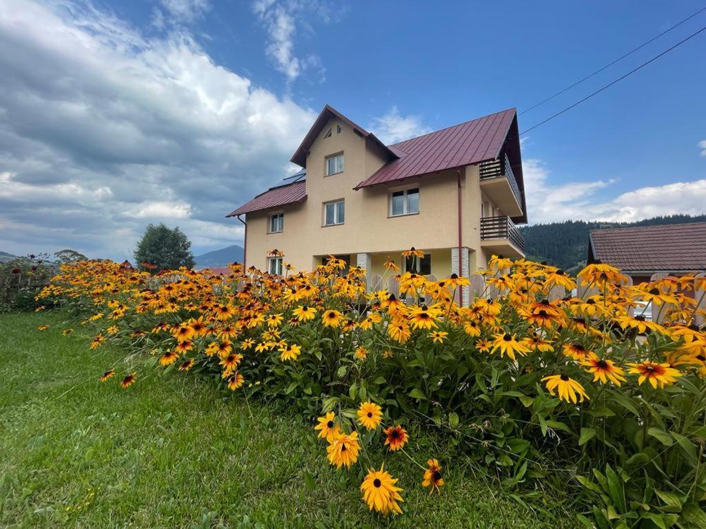 Pensiunea Gentiana Vatra Dornei Bagian luar foto
